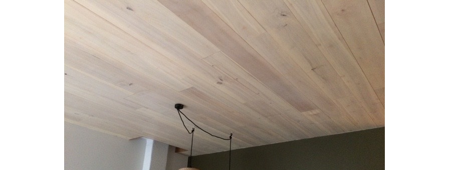 PLAFOND-PEUPLIER (02)
